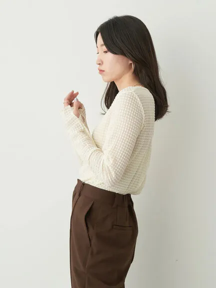 Avege Sheer Crew Neck Pullover