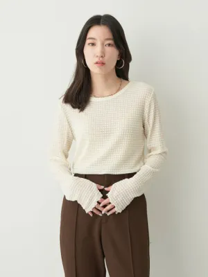 Avege Sheer Crew Neck Pullover