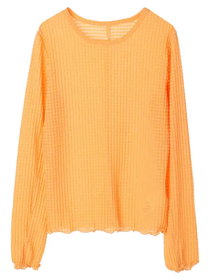 Avege Sheer Crew Neck Pullover