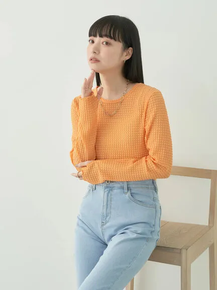 Avege Sheer Crew Neck Pullover