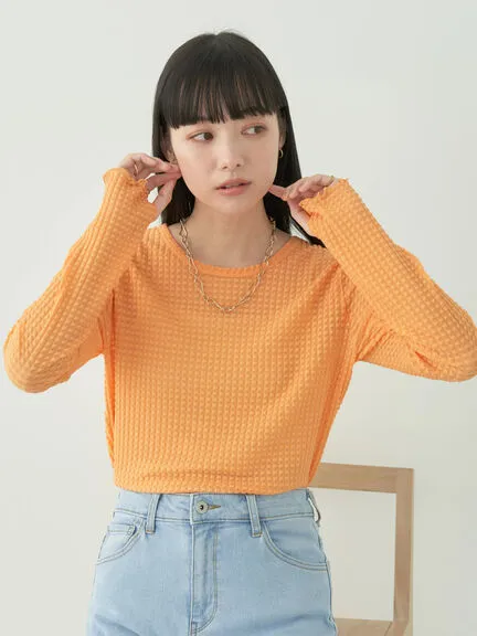 Avege Sheer Crew Neck Pullover