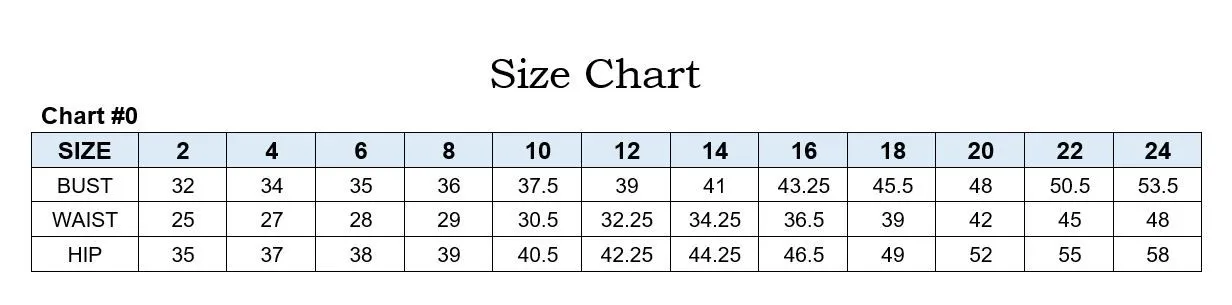 Glitter Strapless Sheer Corset Bodice Sequin A-line Long Prom & Bridesmaid Dress CDCD275